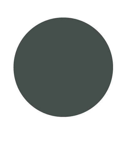 Elesgo clean touch black green