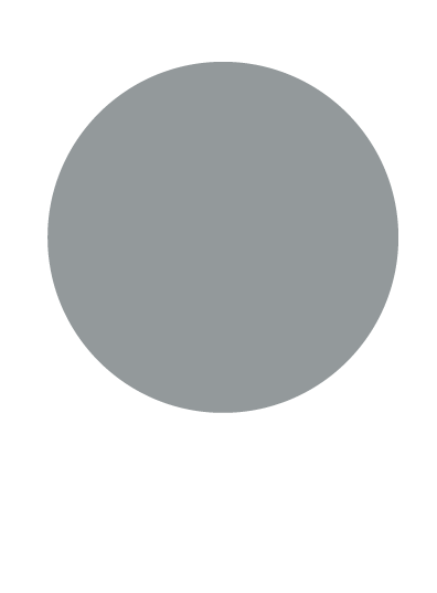 Elesgo ultimate grey